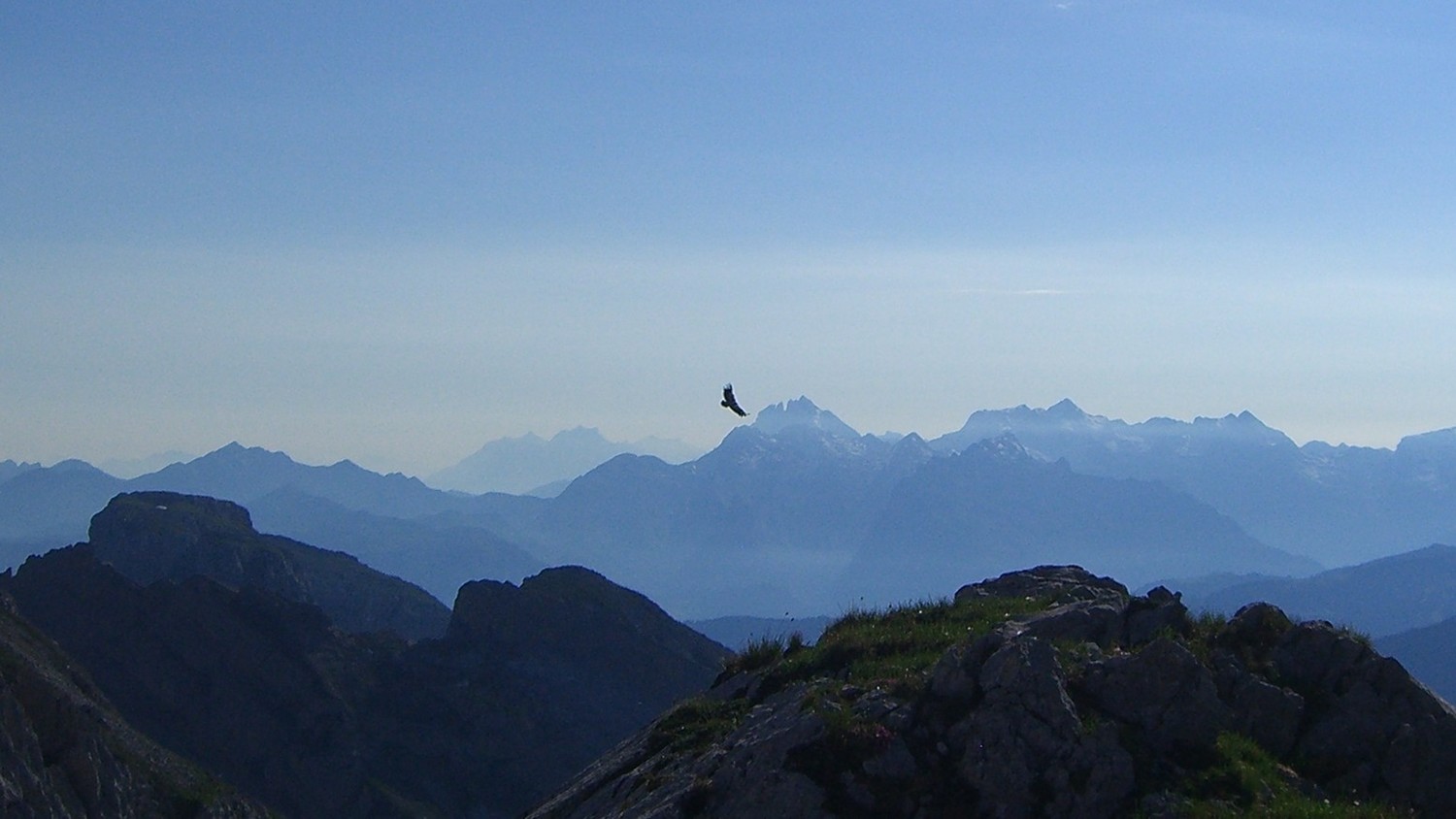 Jalouvre/Bargy-Chablais et vautour