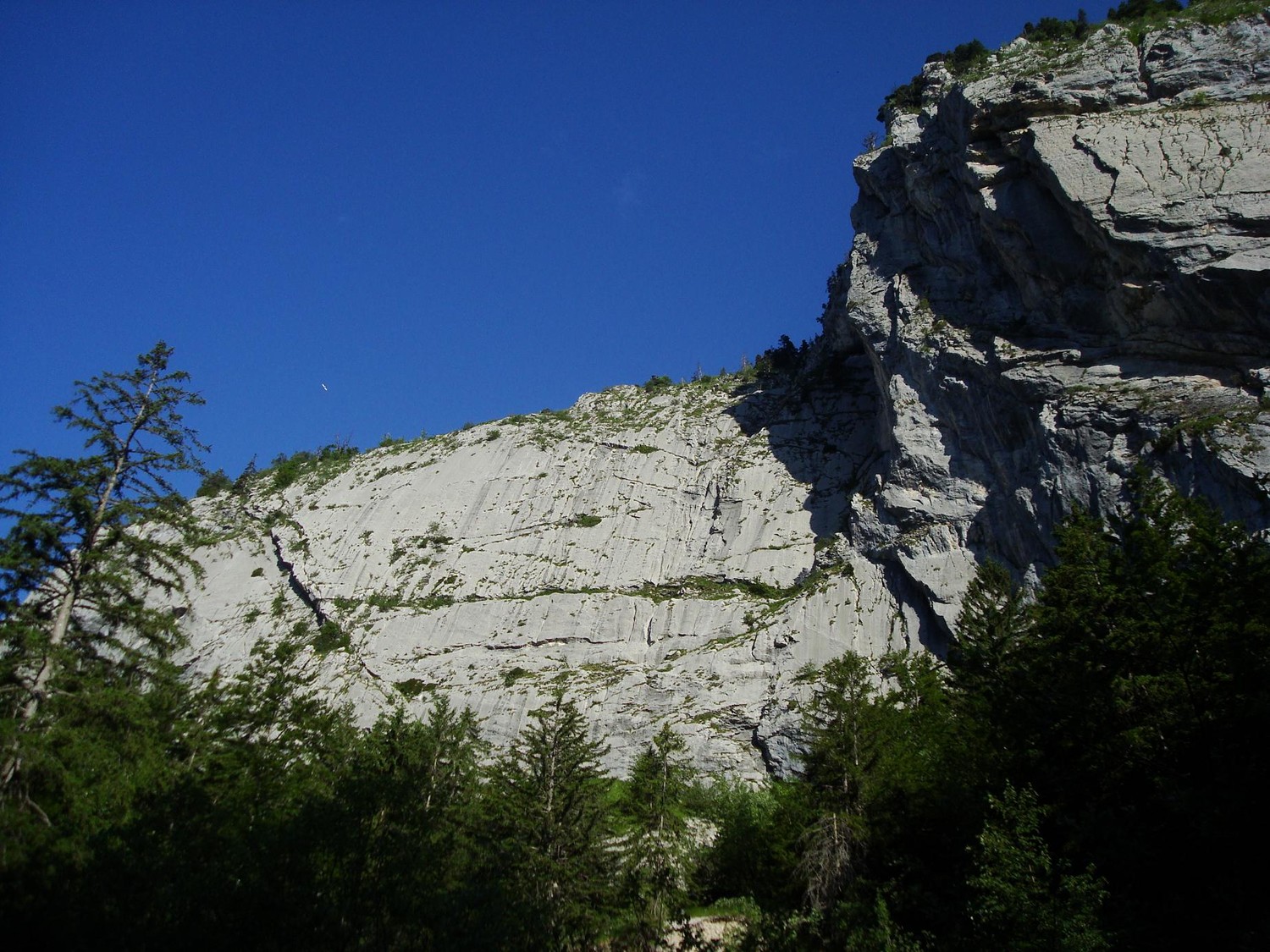 la dalle de la rozière