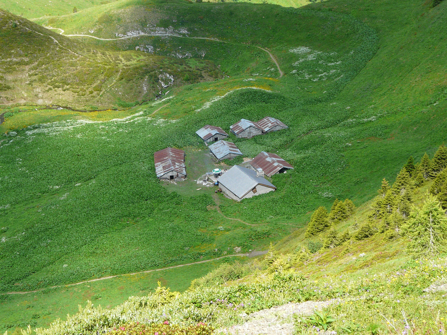 L'alpage de Catogne au pied de la Croix de Fer (Trient)