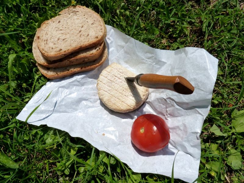 Vive le bio : comme quoi le pain est un aliment du sportif à part entière !