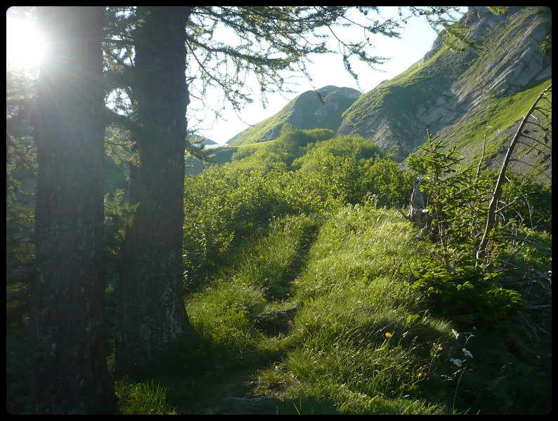 Accès direct au Col de la Poreyrette