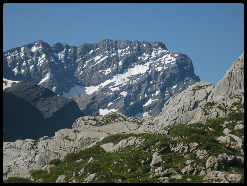 Les névés du Régent Bérard au Grand Muveran: vue siasissante