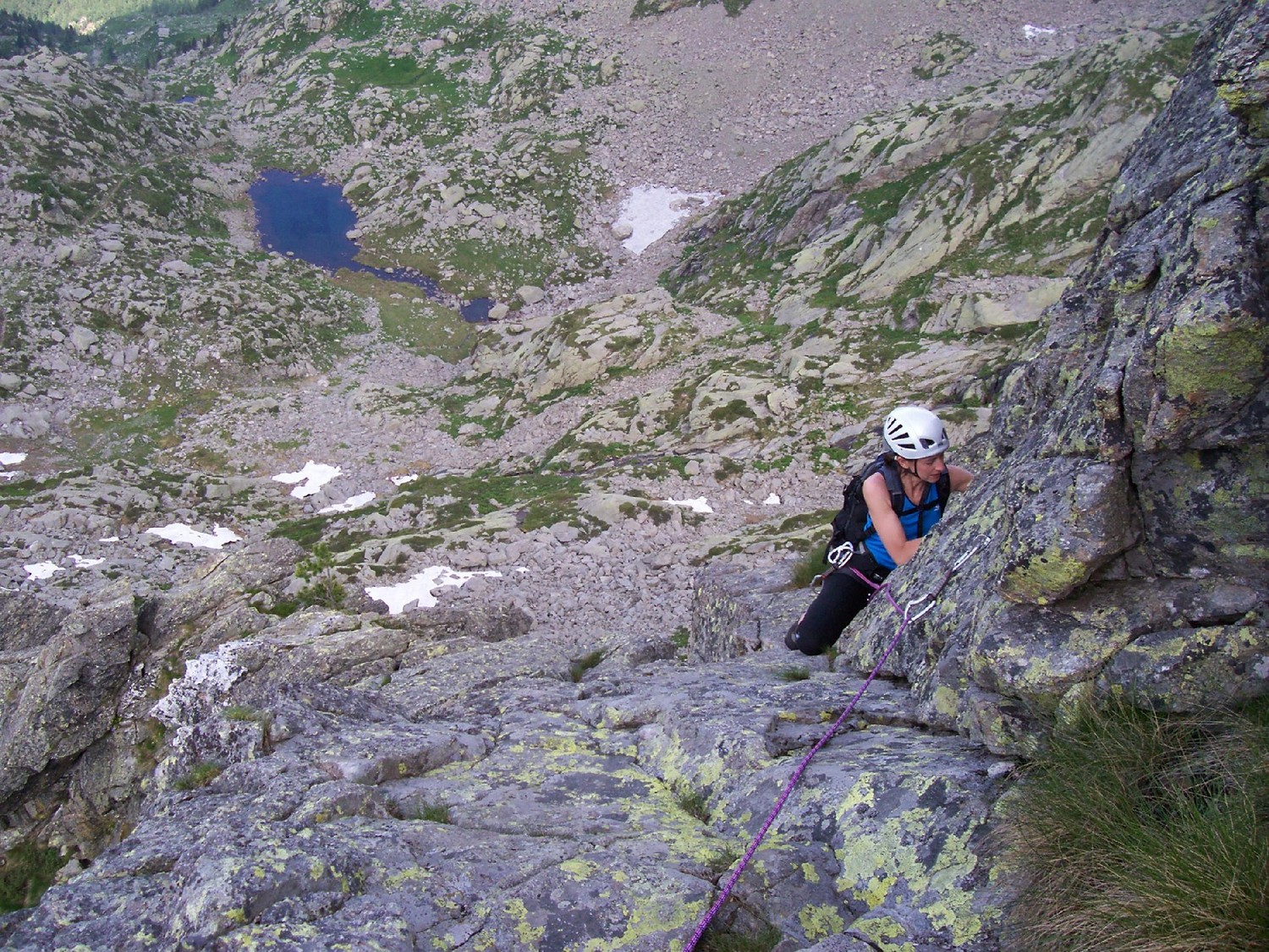 monia concentrata