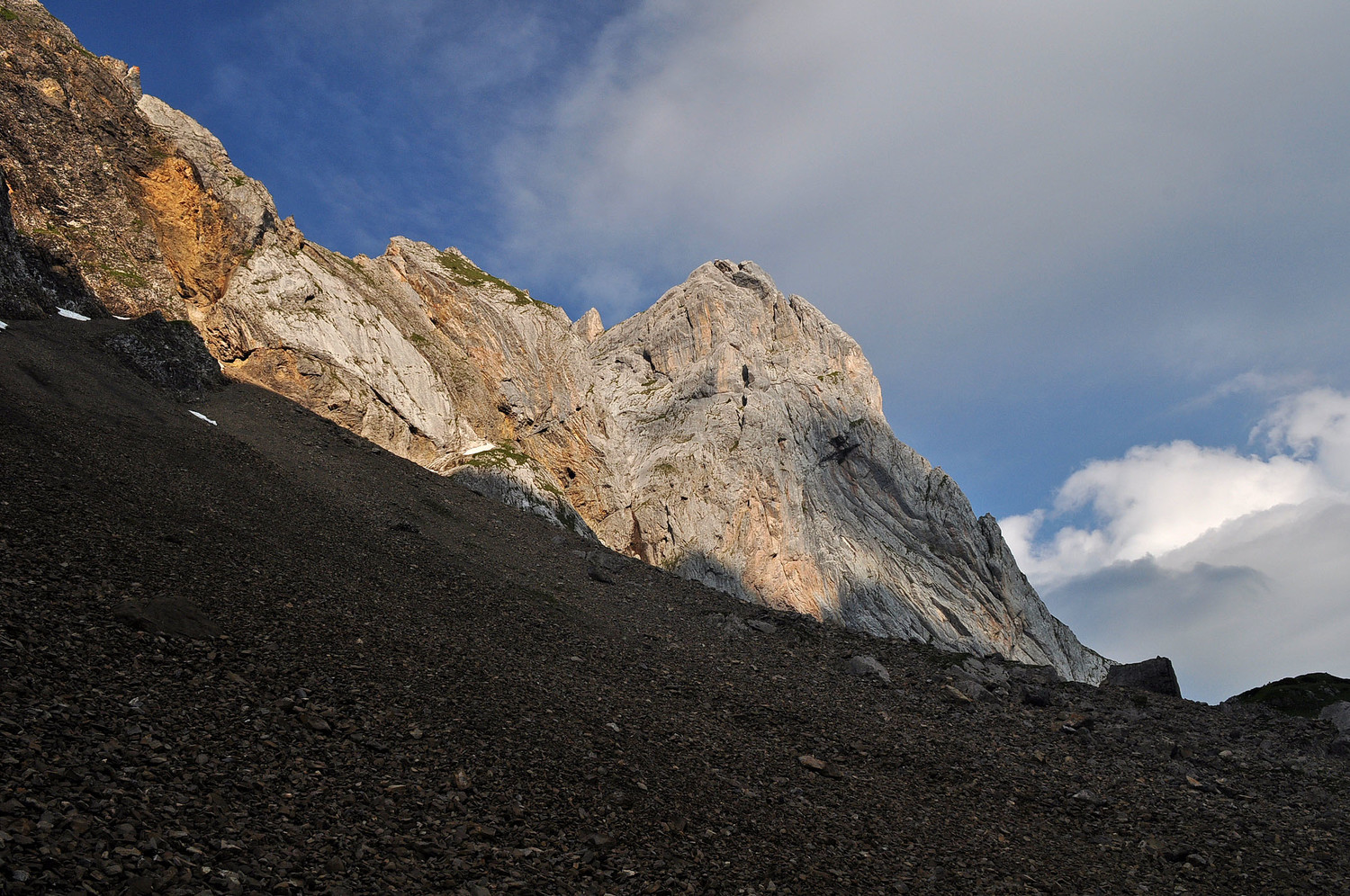 Les Aiguilles noires depuis la Grande Forclaz