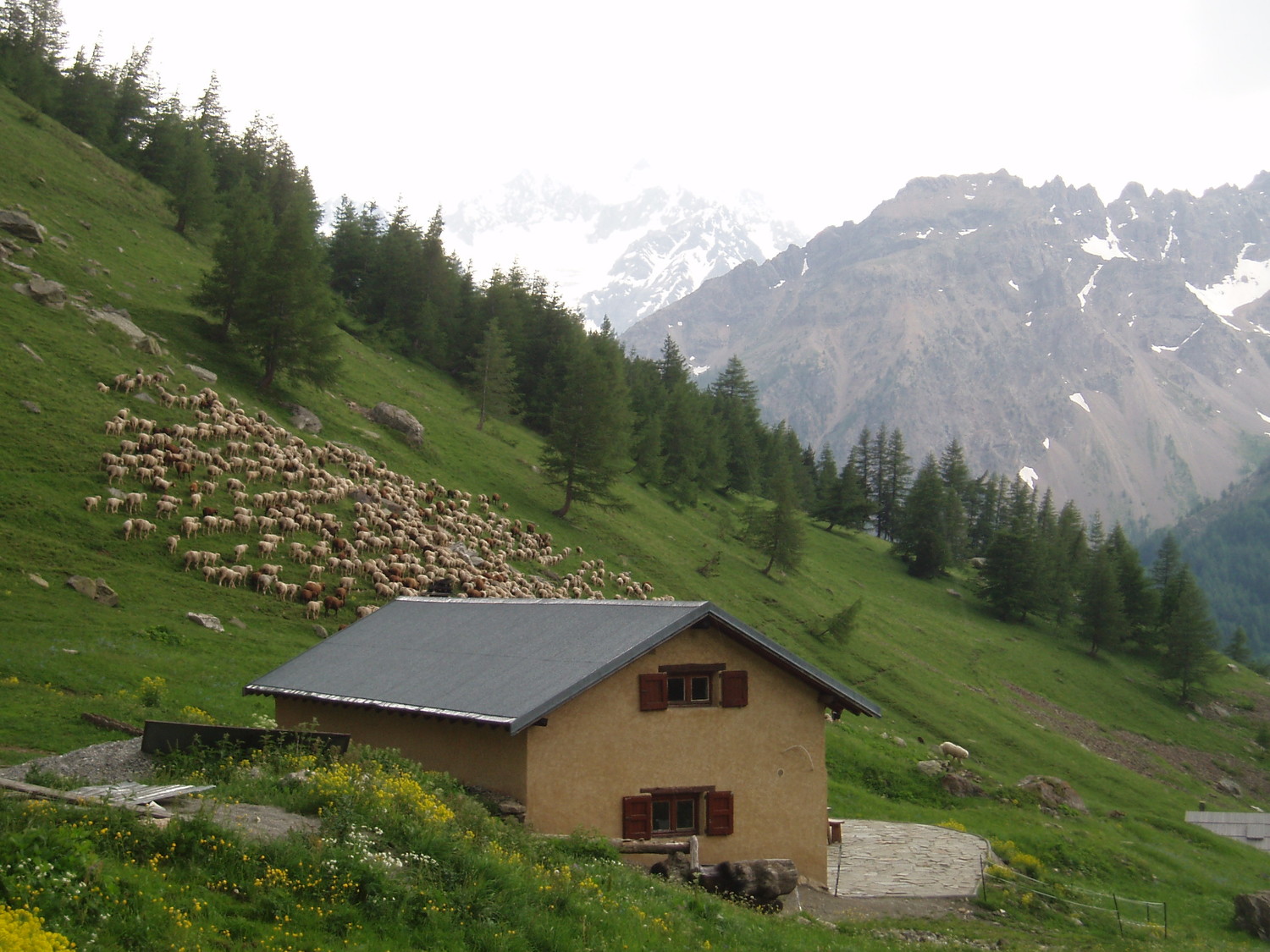 ... pastoral