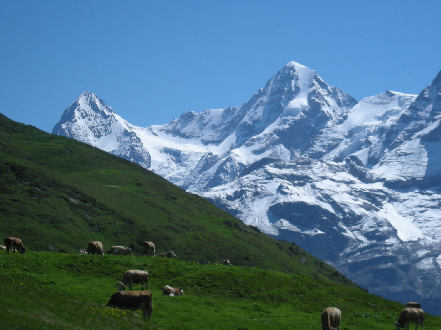 Eiger & Monch