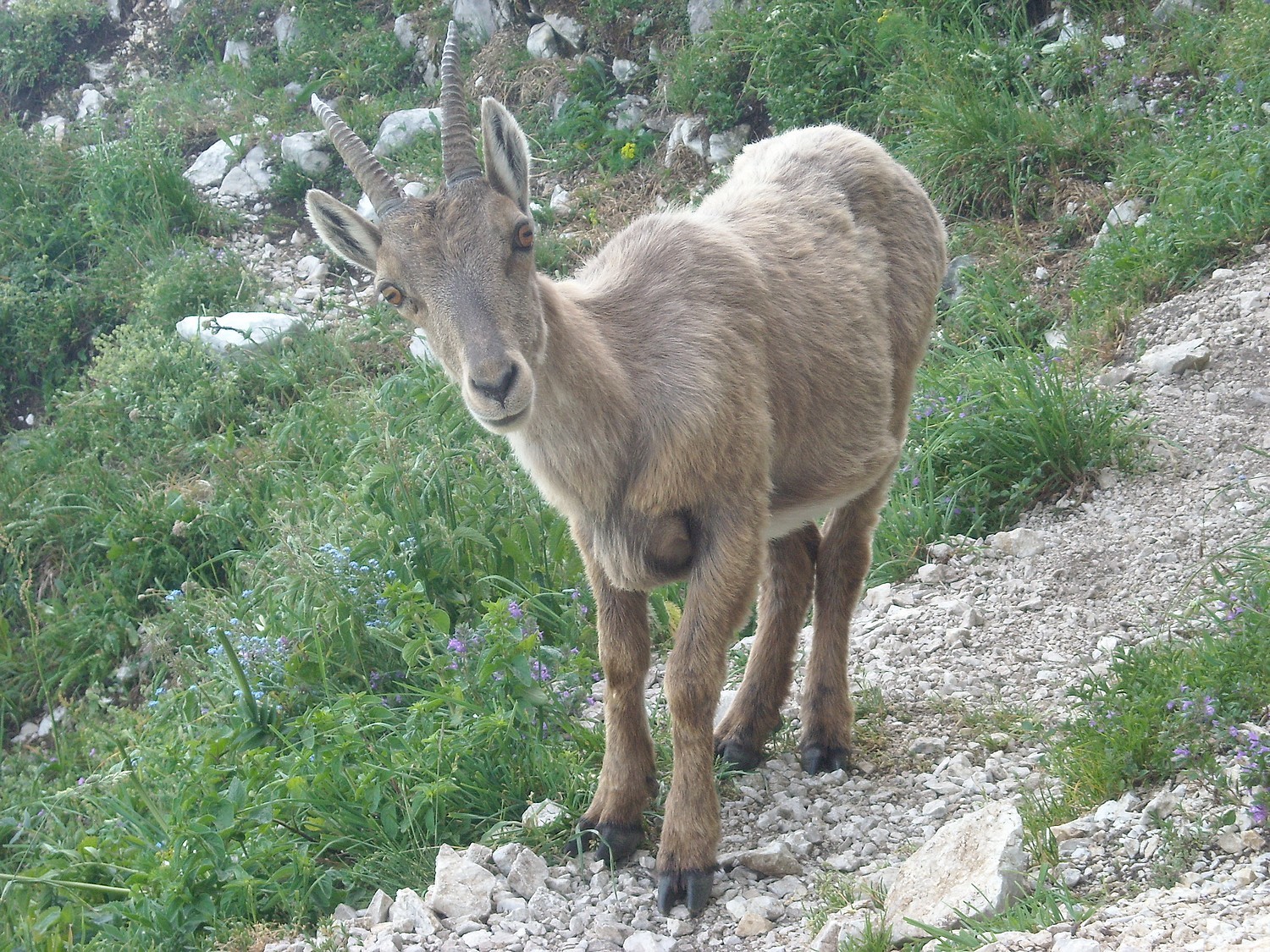 2 yeux curieux et attentifs parmi tant d'autres.