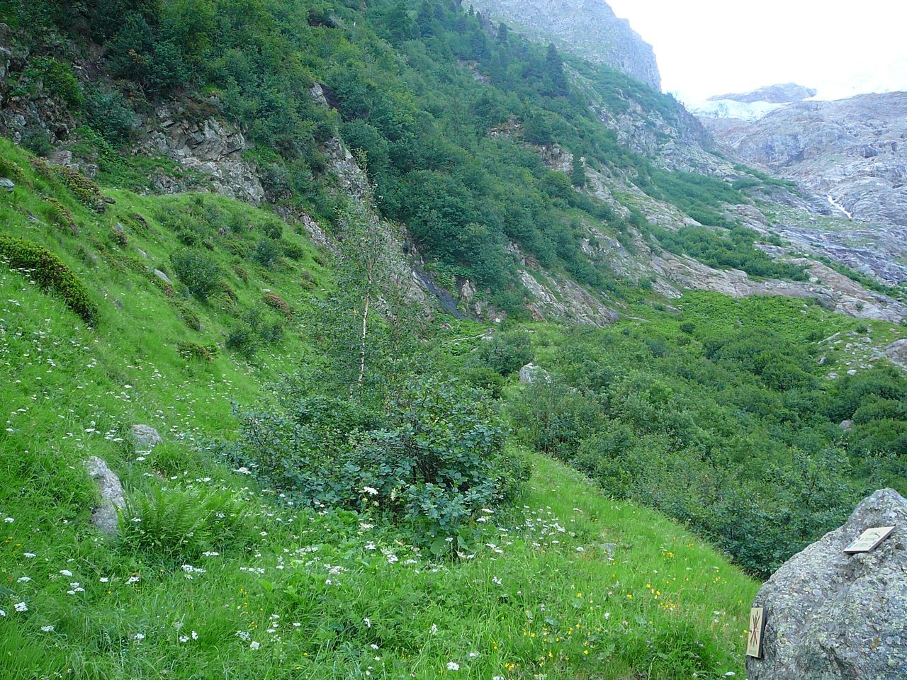 Il est où le chemin ?