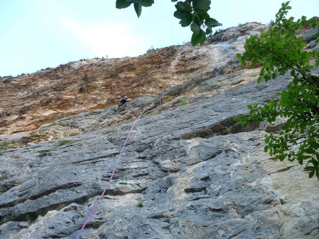 Julien dans L1