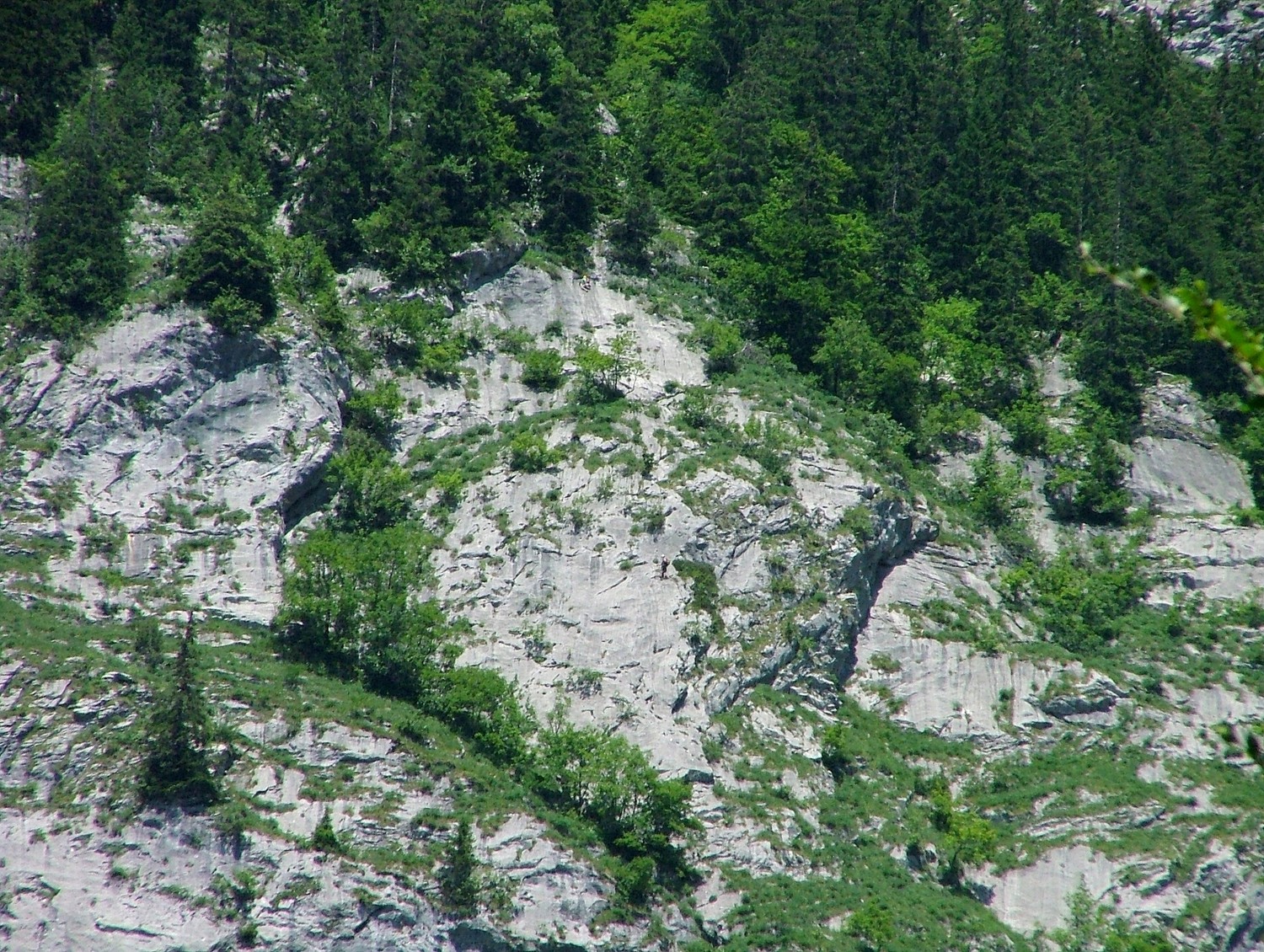 Ligne de Vie : Ludovic (L17)et Florent (R15), en R17 l'échappatoire est à gauche tandis que la suite est à droite (marche horizontale sortie de forêt)