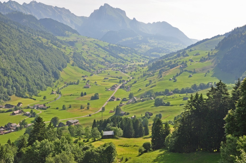 Toggenburg