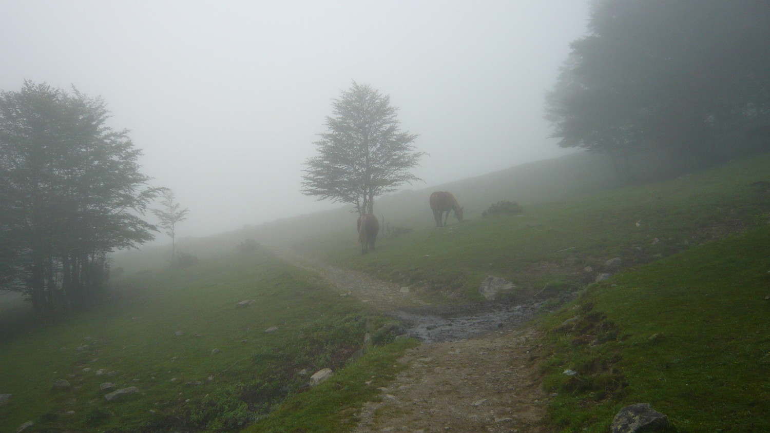 On sort de la brume