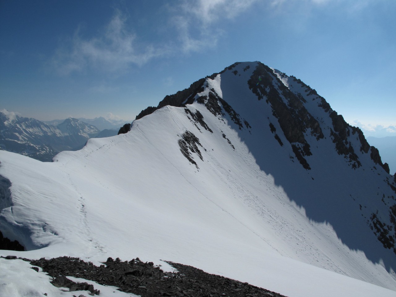 le sommet de la dent parrachée