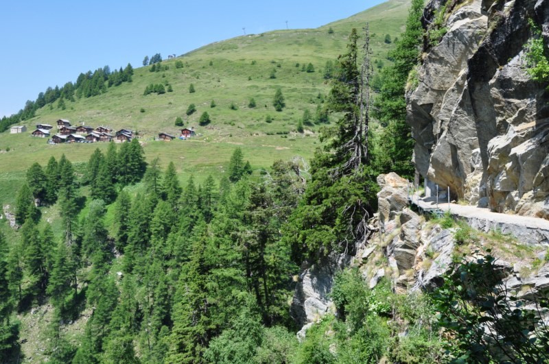 Giebjeri
