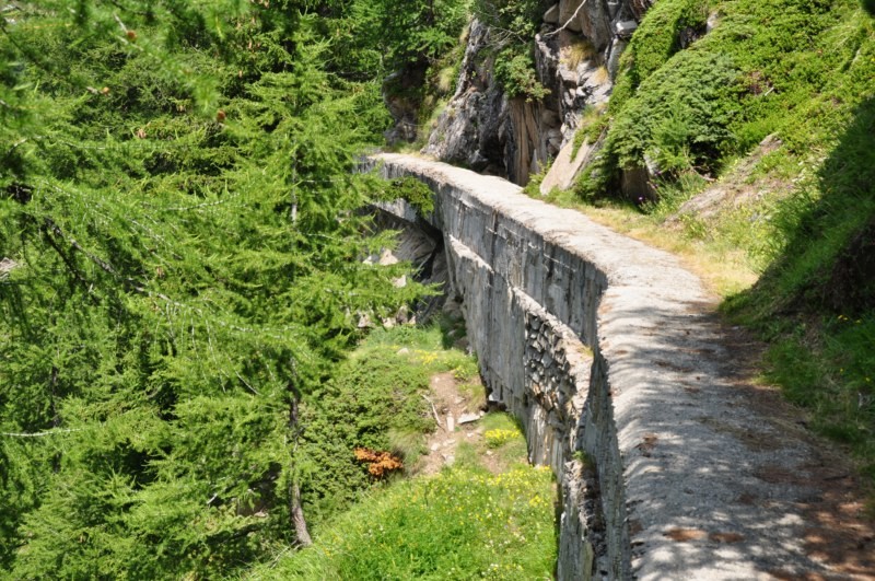 Giebjeri