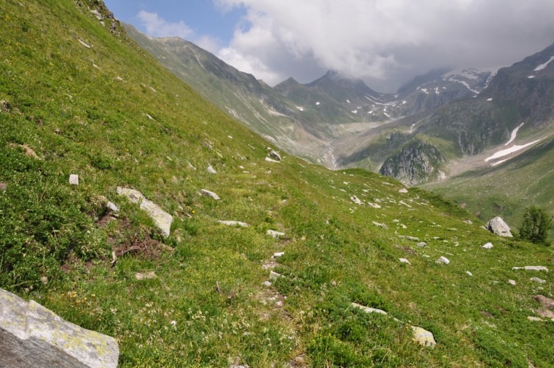 Schweiba