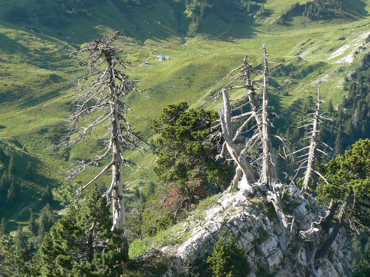 Le refuge d'Hurtières vu de l'arète sud