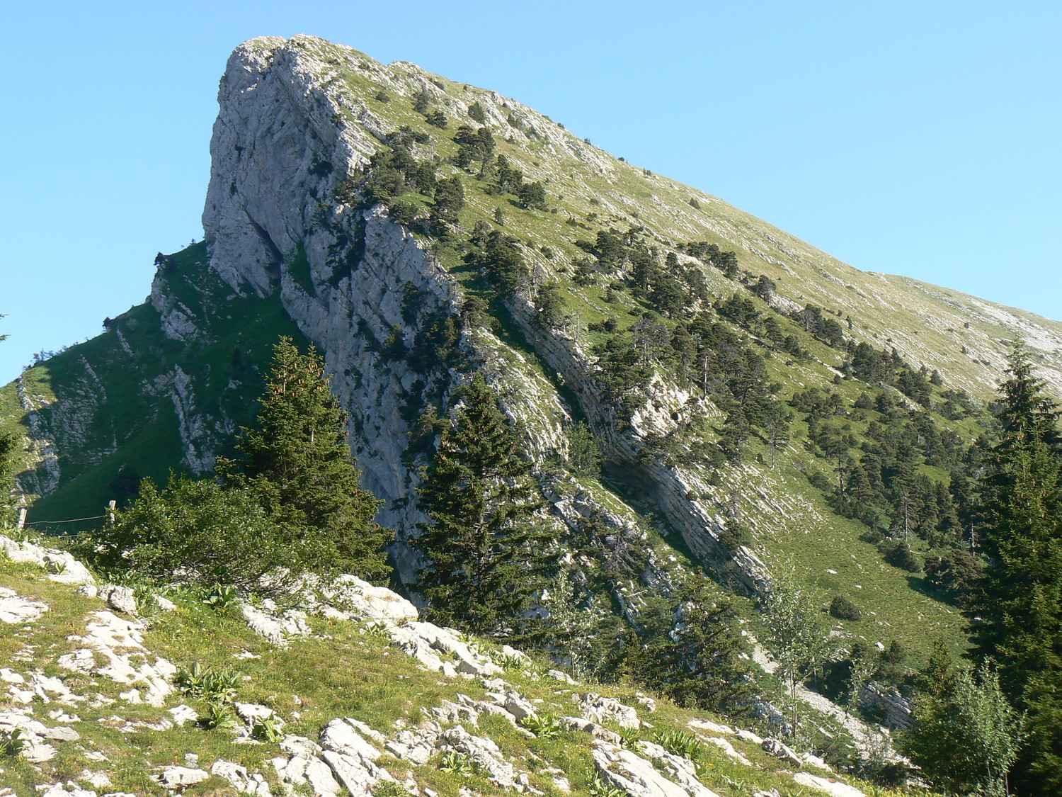 Arète sud de la grande Sure