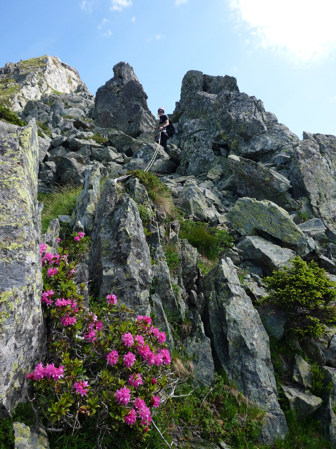 Promenons-nous dans les blocs