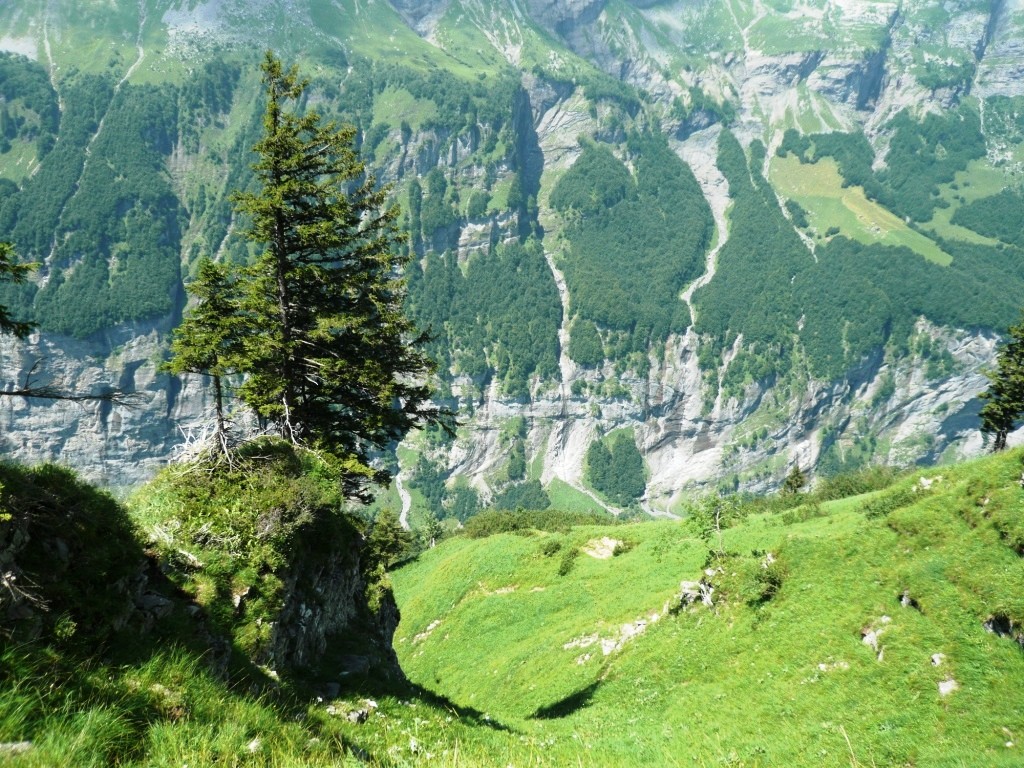 Vue sur la vallée du Giffre de la Croix Moccand