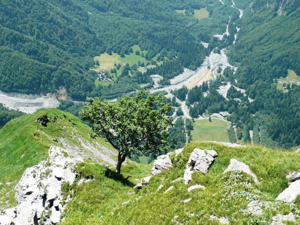 Vue plongeante sur le Giffre