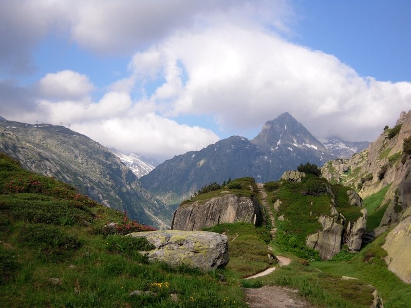 Chemin d'accès