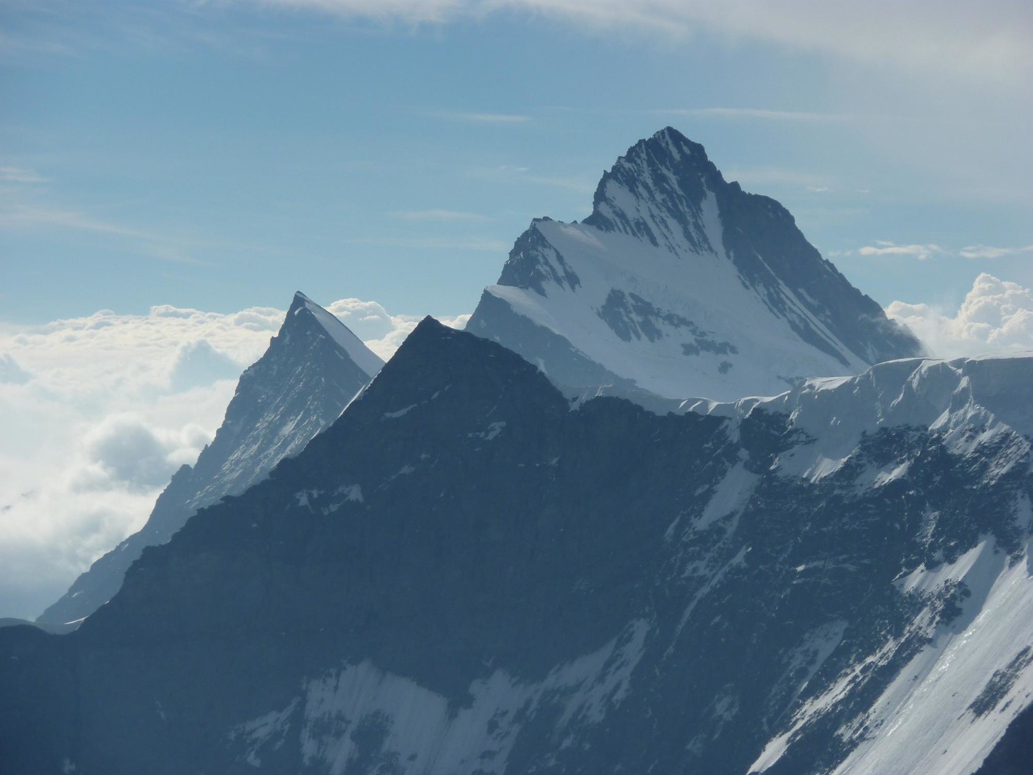 Finsterhaarhorn depuis l'arête Mittellegi