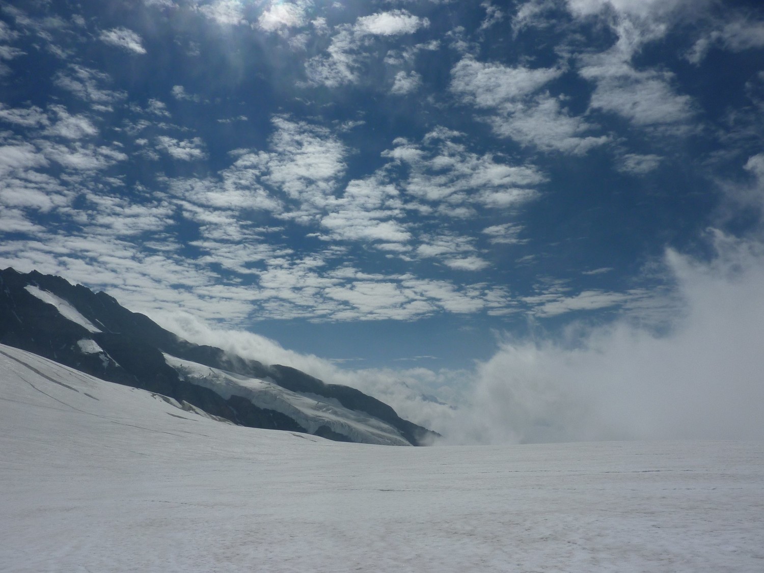 Jungfraufirn