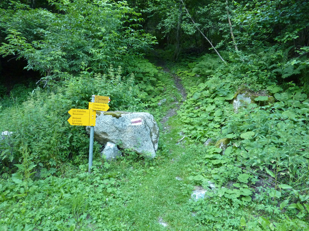 depart du chemin