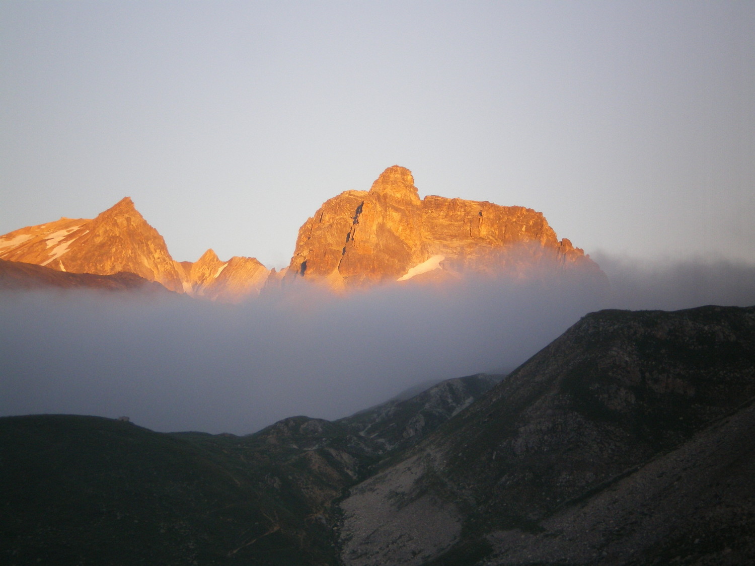 Le cheval blanc au petit matin