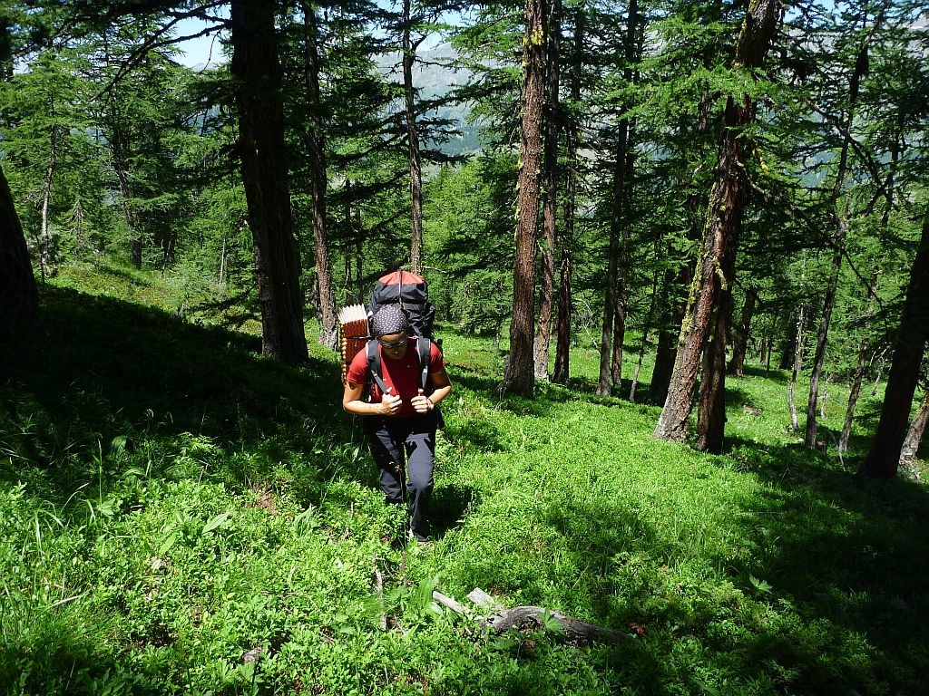 Montée hors sentier dans la belle forêt de Marassan