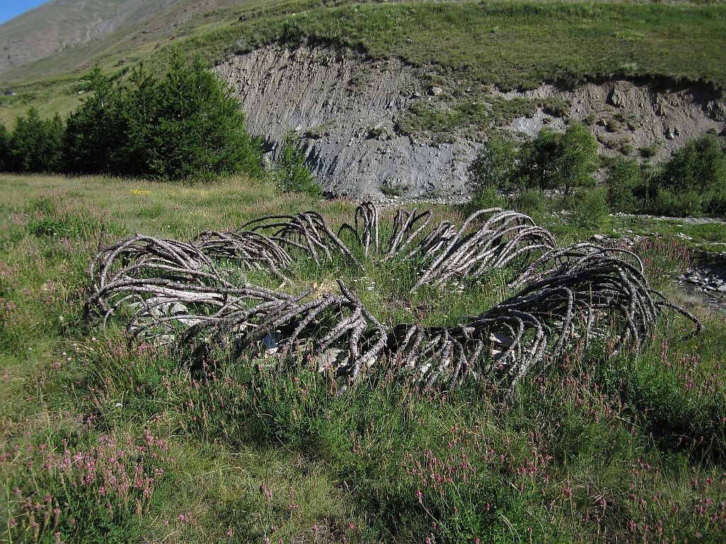 Land Art au Bois des Amoureux