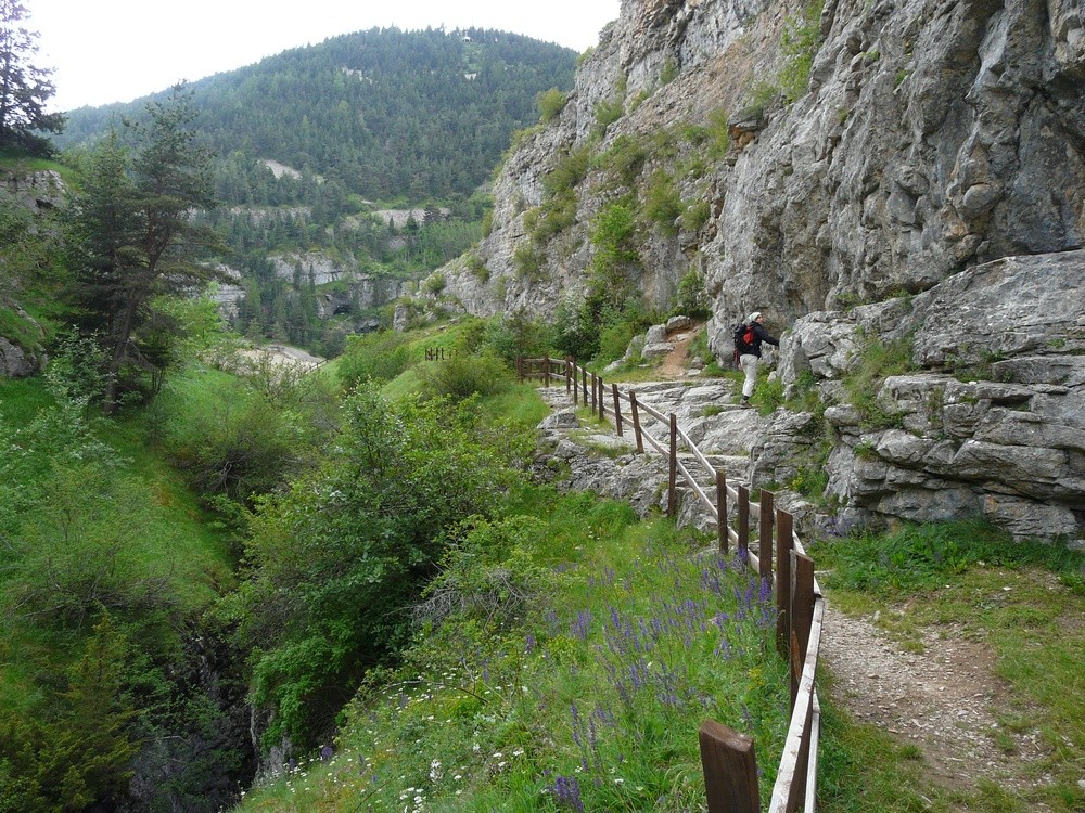 Le long des gorges des Etroits