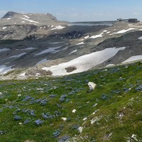 Le Plateau de Bure