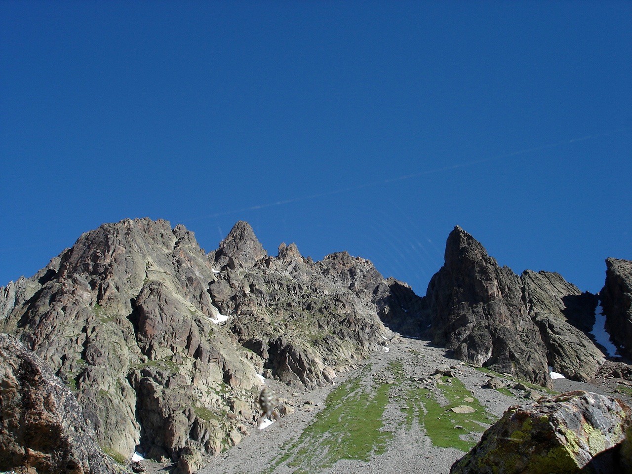 Persévérance à droite, Chamois à gauche, araignée planquée...