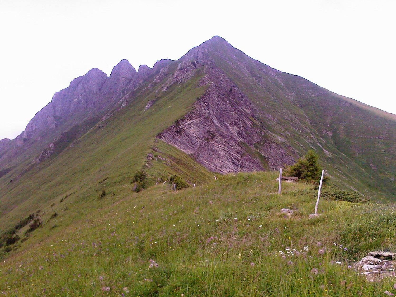 Arête S du Witteberghorn
