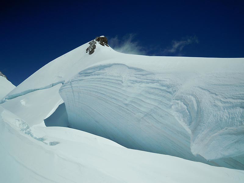 Baleine de glace