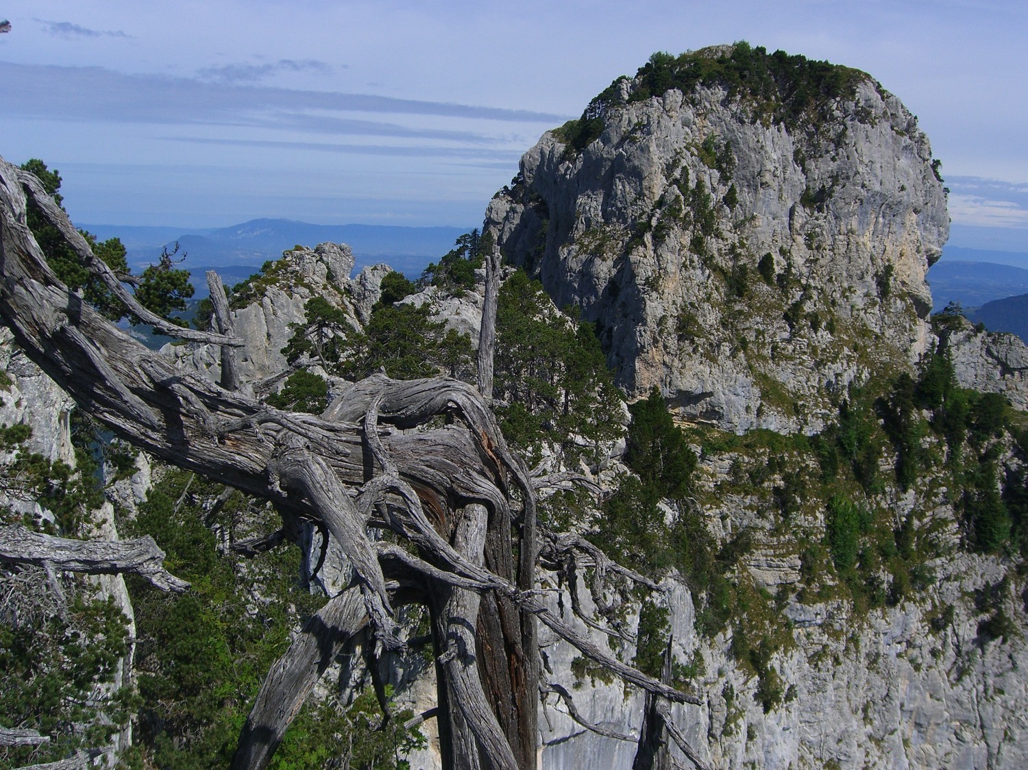 Dents de lanfon-vue vers le nord