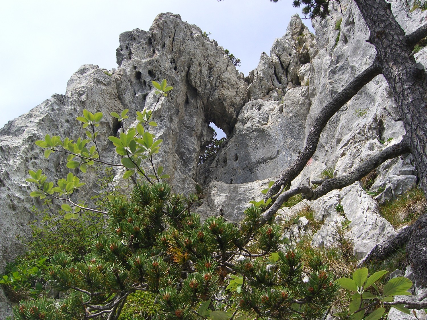 Dents de lanfon - le trou test embonpoint