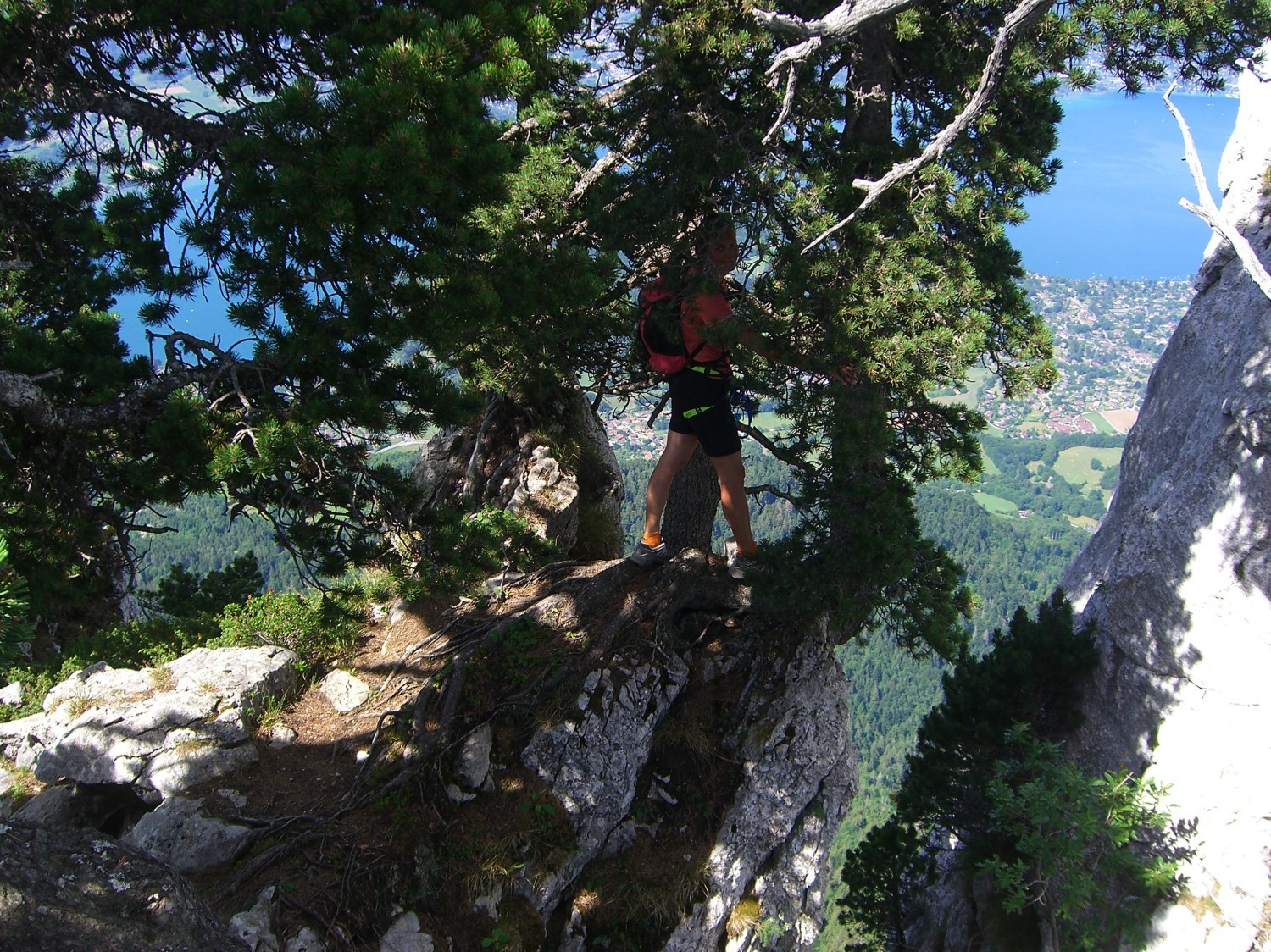 Dents de Lanfon-accrobranche