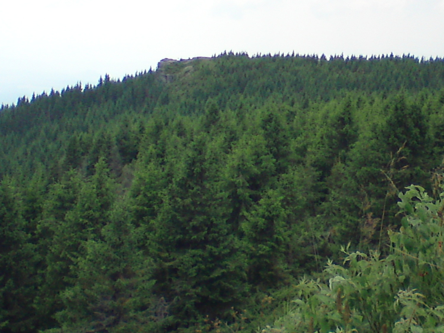 Bagoly-kő, en contrebas de Harghita Ciceu