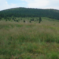 Le sommet de Harghita Mădăraș, au dessus la Madarasi Menedekház, en sortant du bois.