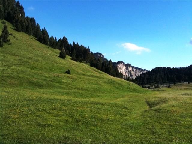 vers la cabanne Pré Peyret
