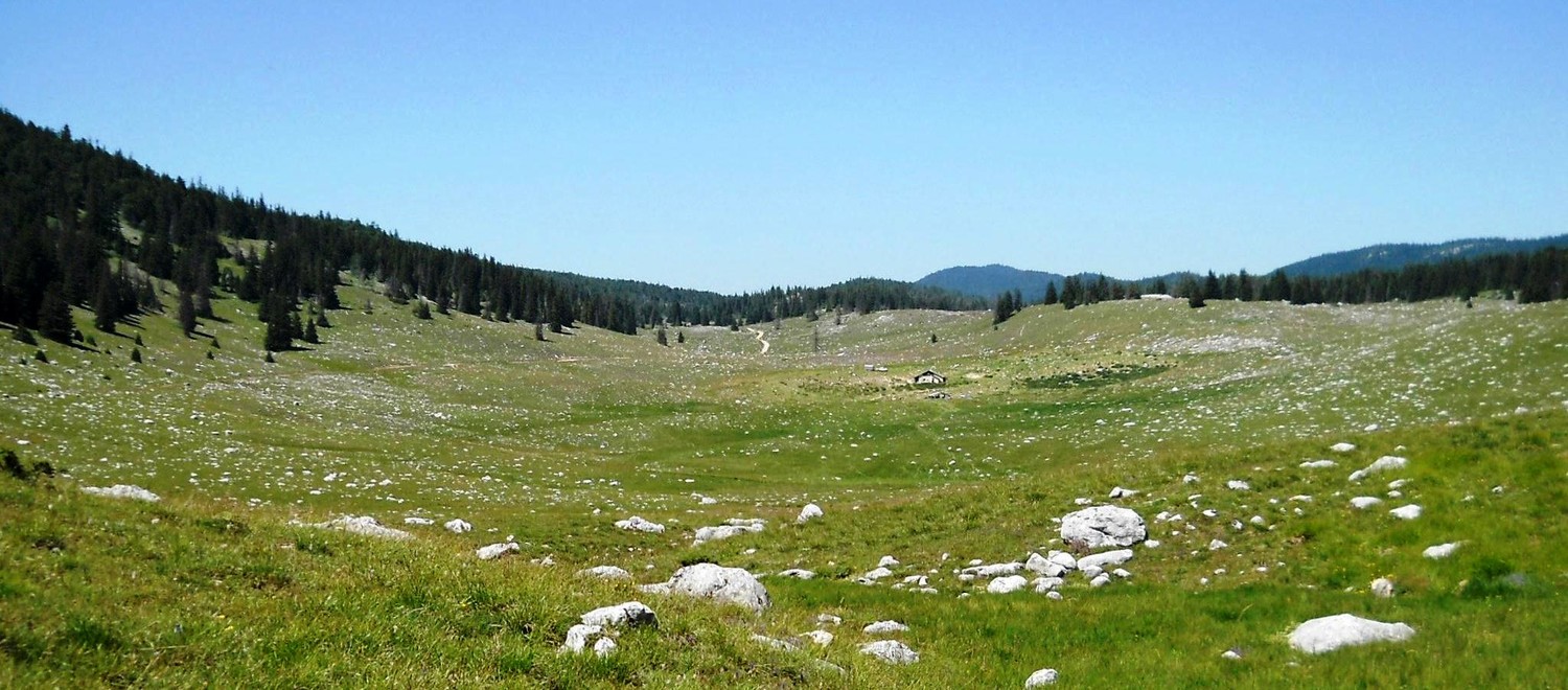 Bergerie, au dessus de Corrençon