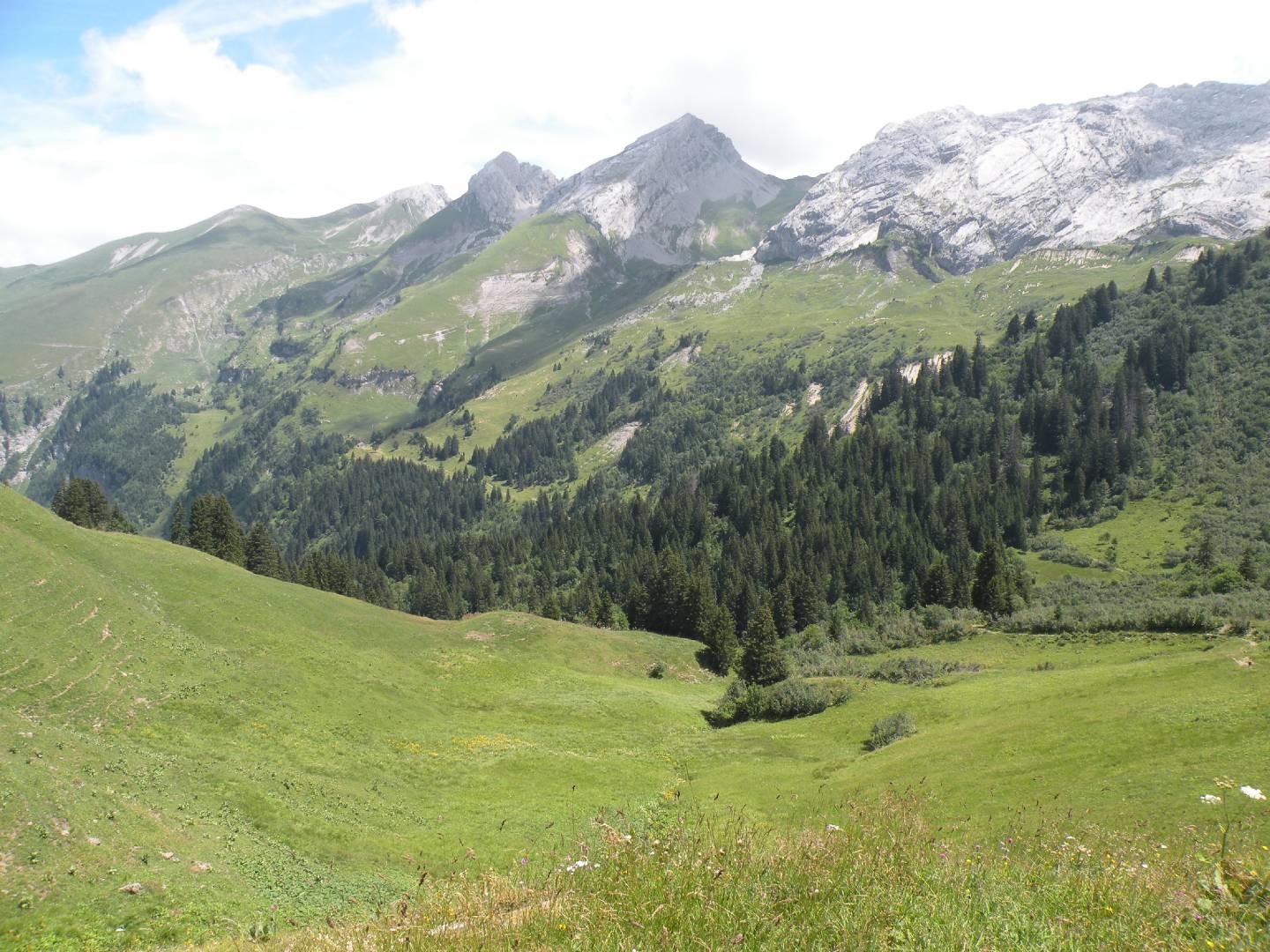 Le vallon