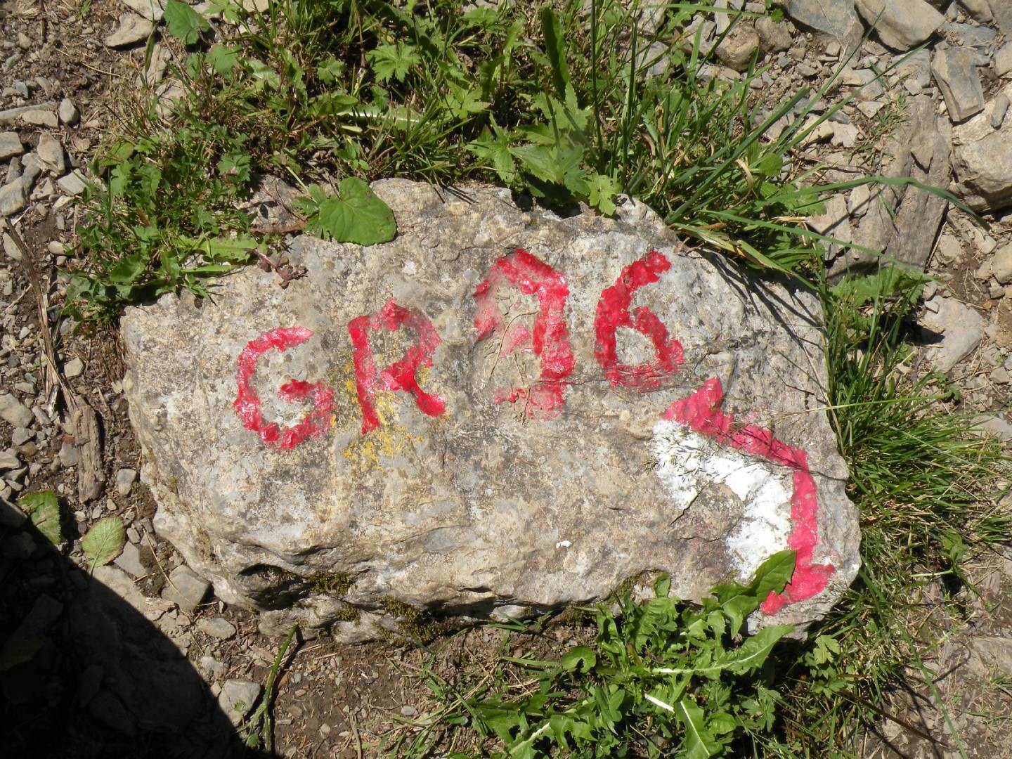 La trace a suivre aprés la bifurcation