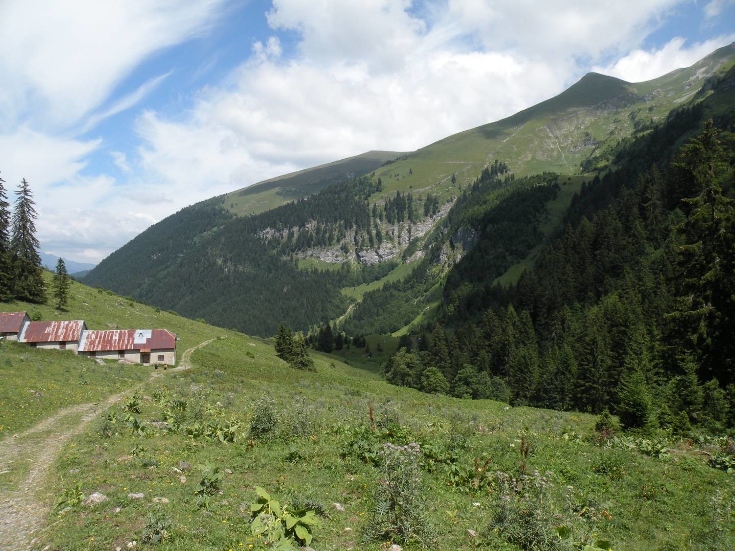 Sommier d'amont a la descente