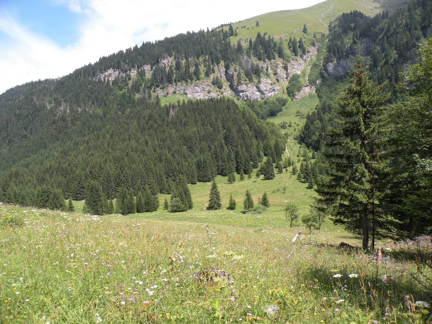 Les alpages