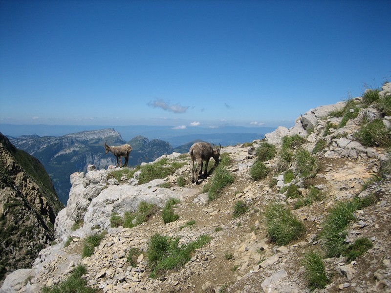 Au col du Rasoir