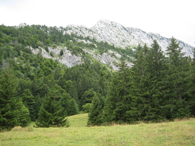 Traversée dans les pâturages